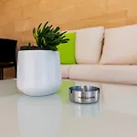 Alojamento de Acomodação e Pequeno-almoço Noemi 4*