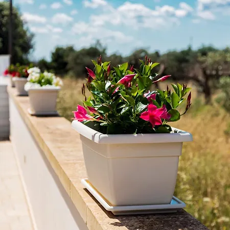 Noemi 4* Porto Cesareo