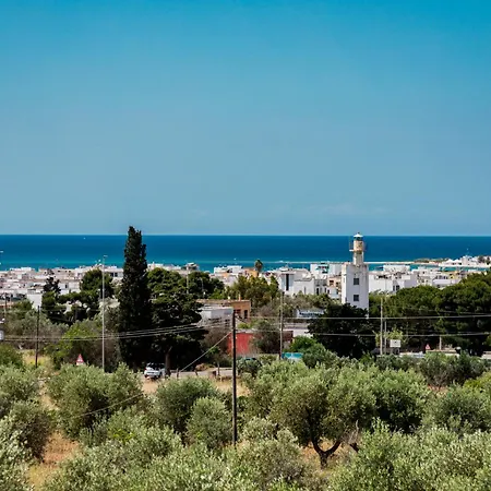 Noemi Porto Cesareo